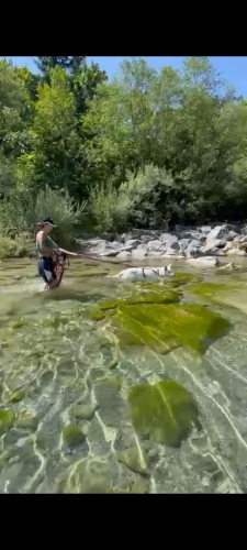 Trailen an und im Wasser